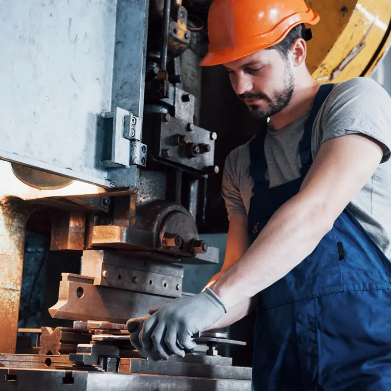 Descripción de la imagen